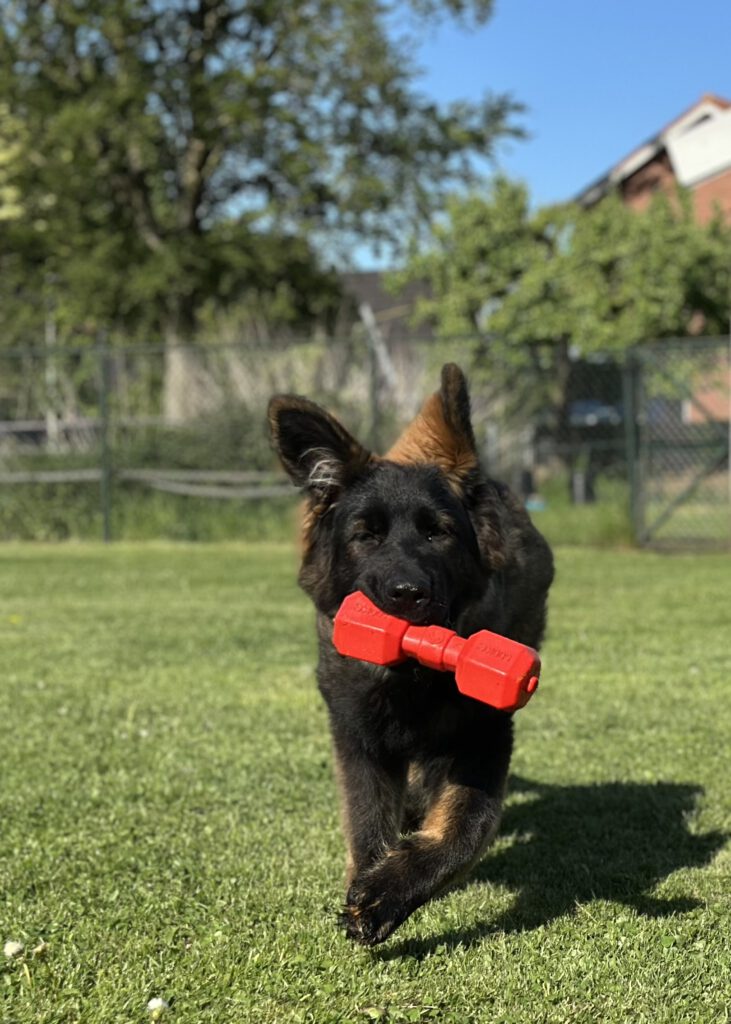 De huidige afbeelding heeft geen alternatieve tekst. De bestandsnaam is: image00009.jpeg